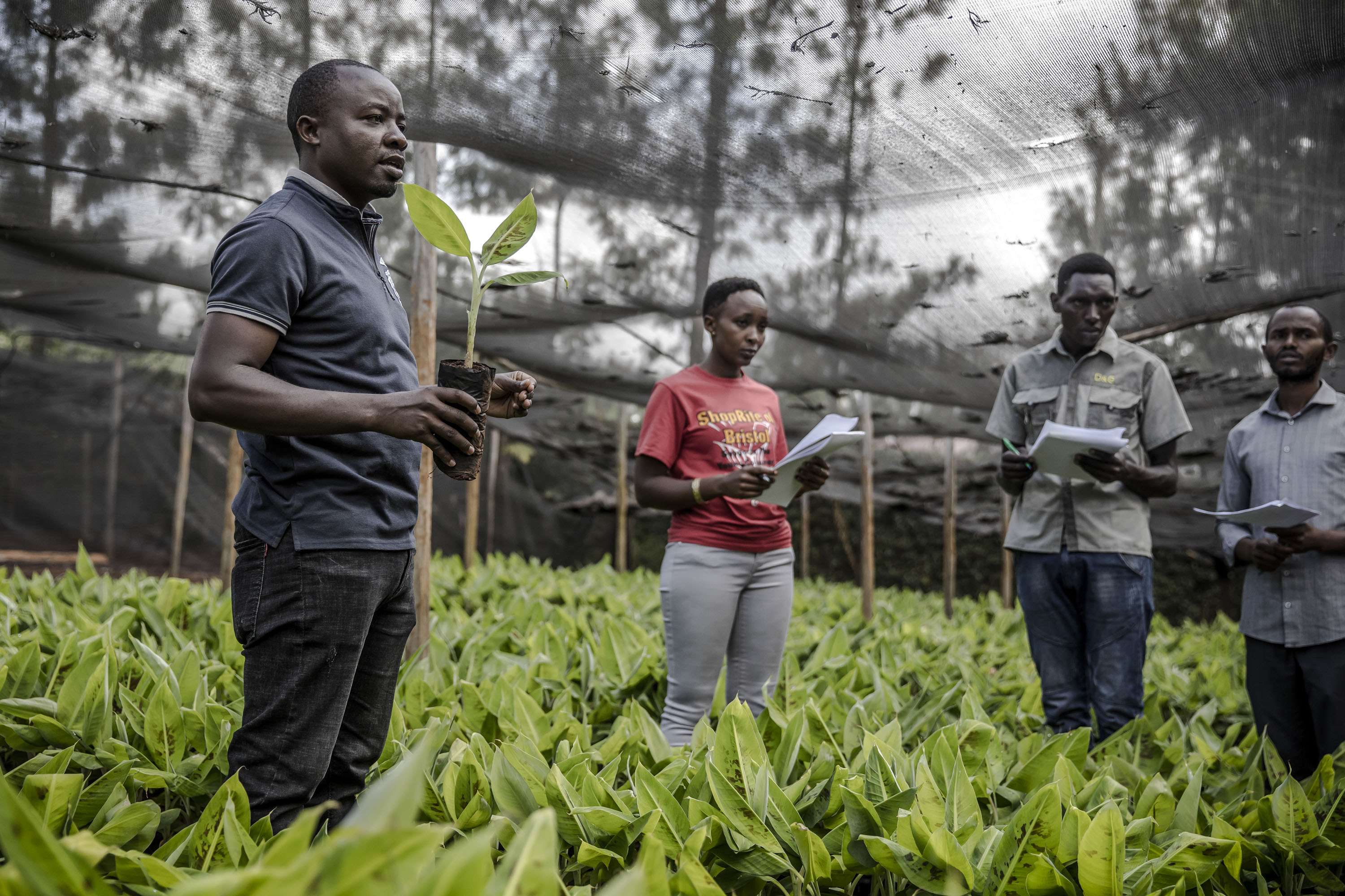 Youth in Agriculture: The Hands and Hearts Planting the Roots of Progress